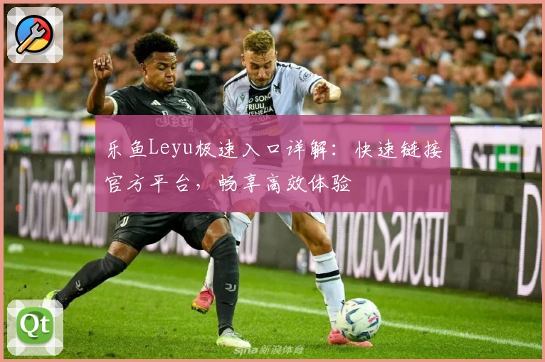 乐鱼Leyu极速入口详解：快速链接官方平台，畅享高效体验