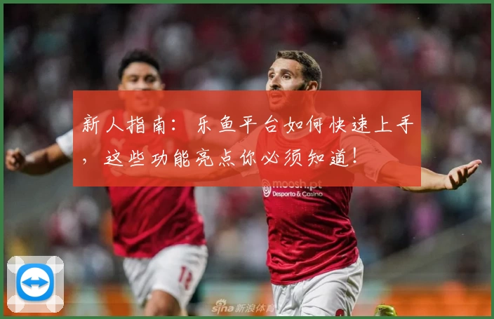 新人指南：乐鱼平台如何快速上手，这些功能亮点你必须知道！