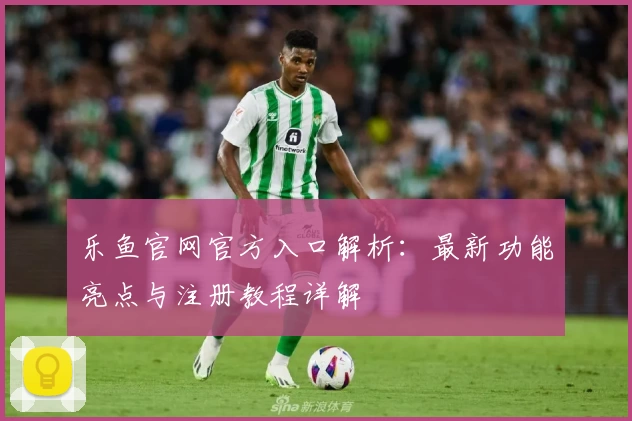 乐鱼官网官方入口解析：最新功能亮点与注册教程详解