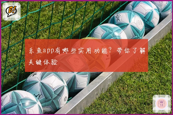 乐鱼app有哪些实用功能?带你了解关键体验