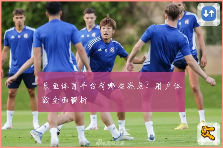 乐鱼体育平台有哪些亮点？用户体验全面解析
