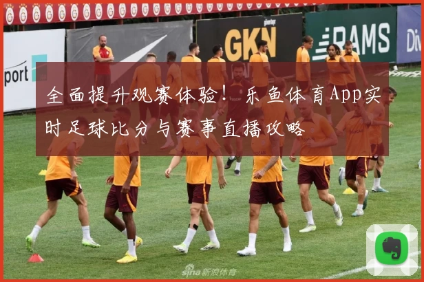 全面提升观赛体验！乐鱼体育App实时足球比分与赛事直播攻略