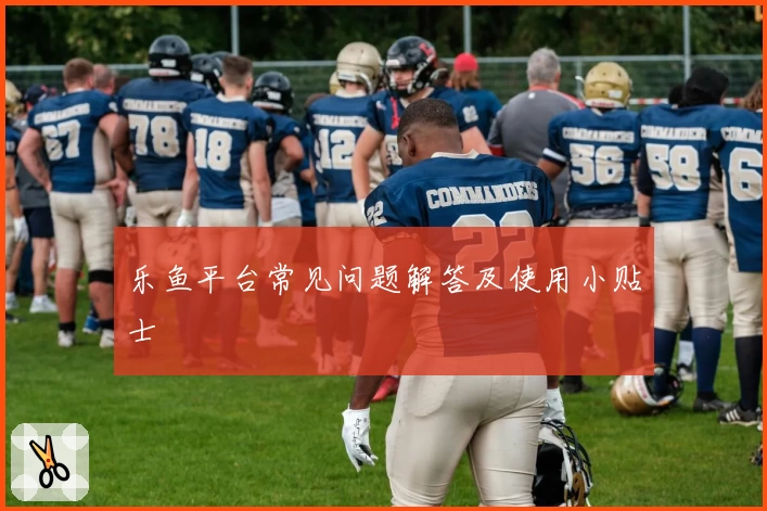 乐鱼平台常见问题解答及使用小贴士