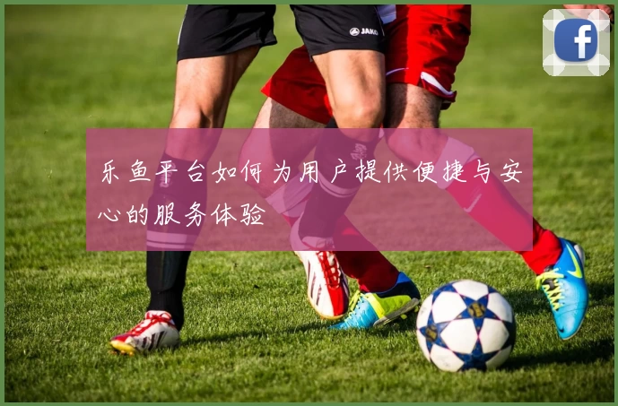 乐鱼平台如何为用户提供便捷与安心的服务体验